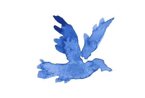 Animated Image